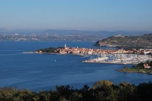 izola320