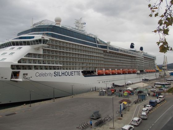 Celebrity Silhouette