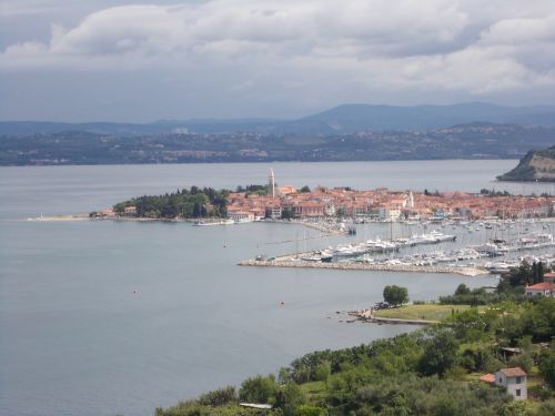 Izola ogled