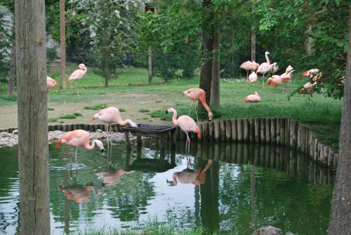 lignano zoo