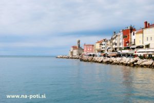 Piran vodic