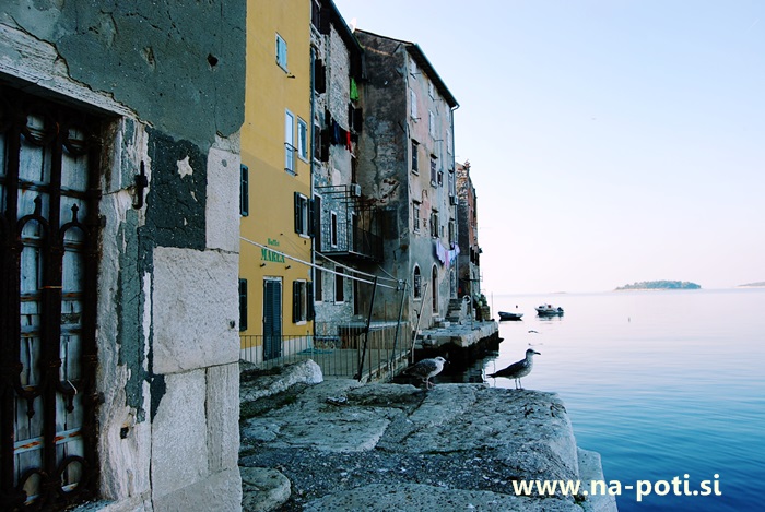 Rovinj vodenje